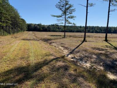 Big Burn Road, Vancleave, Mississippi 39565, Estados Unidos
