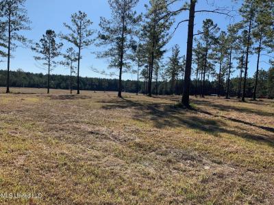 Big Burn Road, Vancleave, Mississippi 39565, Estados Unidos