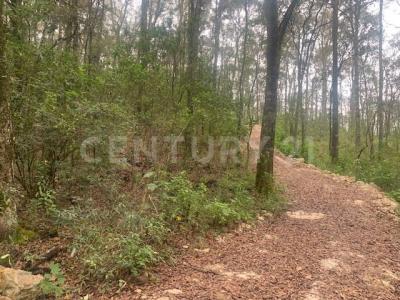 LAGUNA DE SERVIN LOTE 229,, Contepec, Michoacán 61041, México