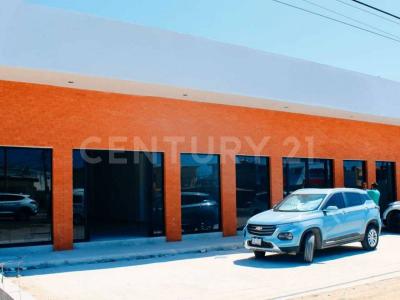 Bahía De Banderas, נאיאריט 63738, מקסיקו 