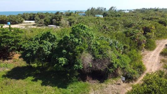 Placencia, Stann Creek 99999, Belize