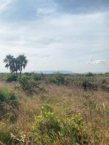 Placencia, Stann Creek 99999, Belize