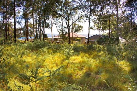 Lot 1 The Ridgeway, North Arm Cove, NSW 2324, Australien