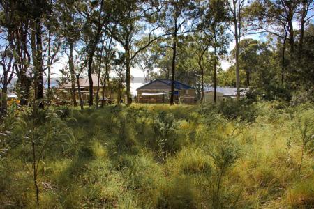 Lot 1 The Ridgeway, North Arm Cove, NSW 2324, Austrália