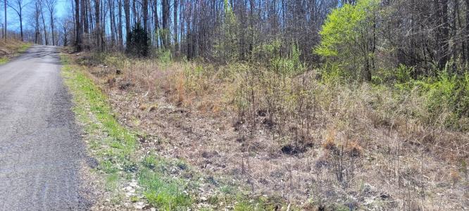 0 Overlook Rd, Dover, Tennessee 37058, Estados Unidos