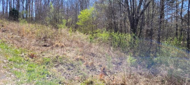 0 Overlook Rd, Dover, Tennessee 37058, Estados Unidos