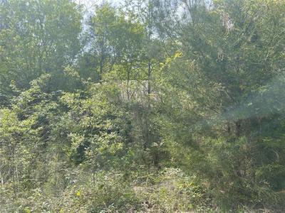 826 Social Springs Road, Ringgold, Louisiana 71068