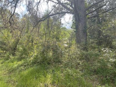 826 Social Springs Road, Ringgold, Louisiana 71068