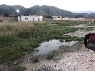 Yagua, Carabobo 2015, Venezuela