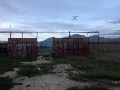Yagua, Carabobo 2015, Venezuela