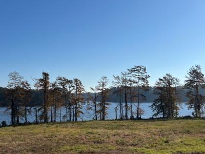 Queen's road Queen of the Bend Subdivision, Many, Louisiana 71449, USA