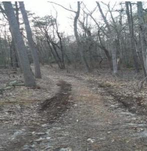 0 Quinton Marlboro Rd. , Bridgeton, Nueva Jersey 08302, Estados Unidos