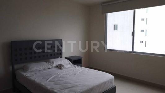 Avenida Gregorio Méndez Magaña 1012,, Villahermosa Centro, تاباسكو 86070, المكسيك