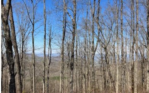 19 Rocky Knob Estates, Young Harris, Джорджия 30582, Соединенные Штаты