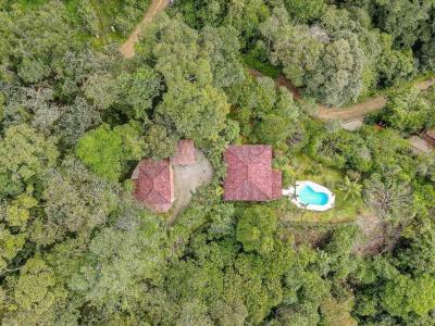  , Península De Osa Puerto Jiménez Golfito, Puntarenas 60604, Costa Rica