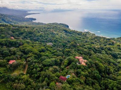  , Península De Osa Puerto Jiménez Golfito, Puntarenas 60604, Costa Rica