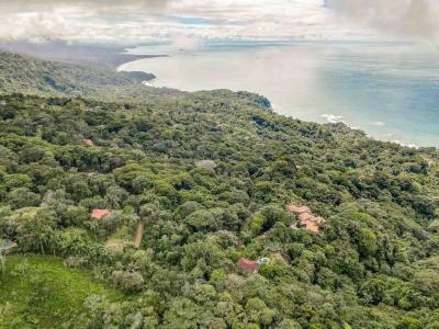  , Península De Osa Puerto Jiménez Golfito, Puntarenas 60604, Costa Rica