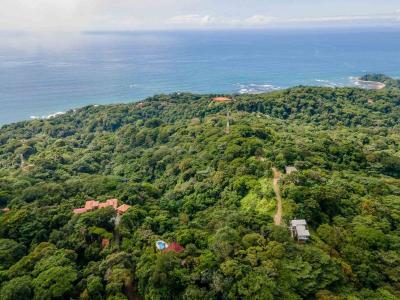  , Península De Osa Puerto Jiménez Golfito, Puntarenas 60604, Costa Rica