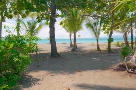 Playa Preciosa, Puerto Jimenez , Puerto Jiménez Puerto Jiménez Golfito, Puntarenas 00001, Costa Rica