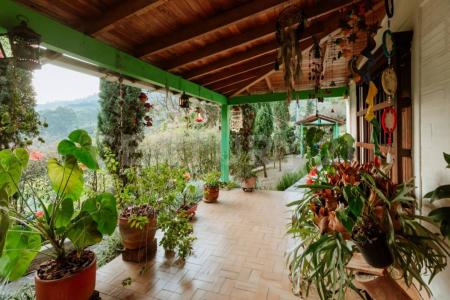 Fredonia, Antioquia 00001, Colombia