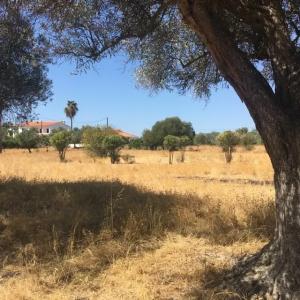 Loulé, Faro 8125-098, Portugal