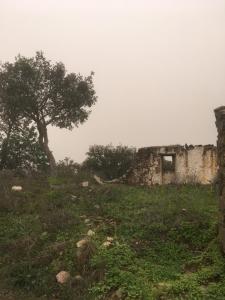Almodôvar, Beja 7700-263, Portugal