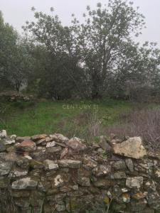 Almodôvar, Beja 7700-263, Portugal