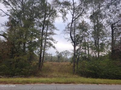 Pioneer Road, Chipley, Florida 32428