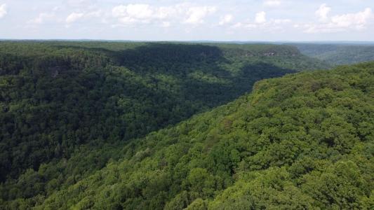 916 N Rim Dr , Nb1, Coalmont, Tennessee 37313, USA