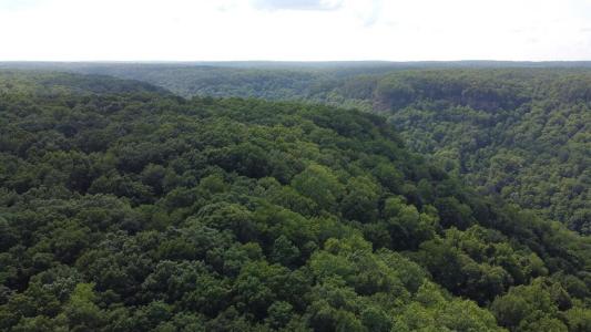 916 N Rim Dr , Nb1, Coalmont, Tennessee 37313, USA