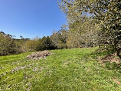 Paredes De Coura, Viana Do Castelo 4940-666, Portugal