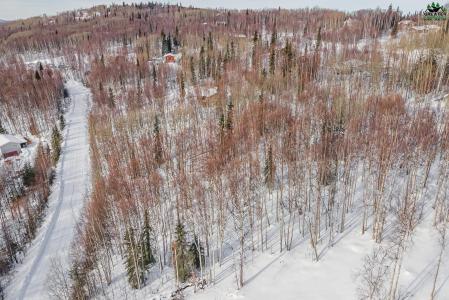 NHN GOLD MINE TRAIL, Fairbanks, Alaska 99712, USA