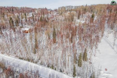 NHN GOLD MINE TRAIL, Fairbanks, Alaska 99712, Estados Unidos