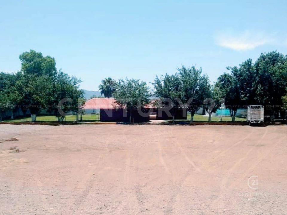 Chihuahua, Chihuahua 31384, México