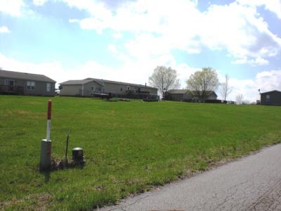 5745 Red Fox Dr, Carterville, イリノイ 62918, アメリカ合衆国