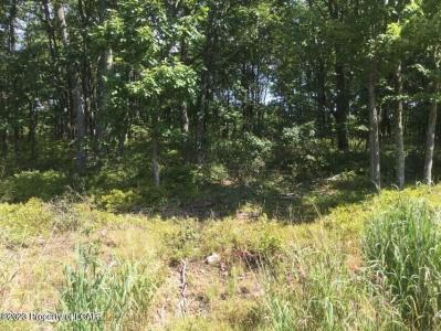 TH Lot 60 Buttonbush Lane, Hazle Twp, 賓夕法尼亞州 18202, 美國