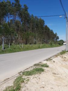 Leiria, Leiria 2405-006, Portugal