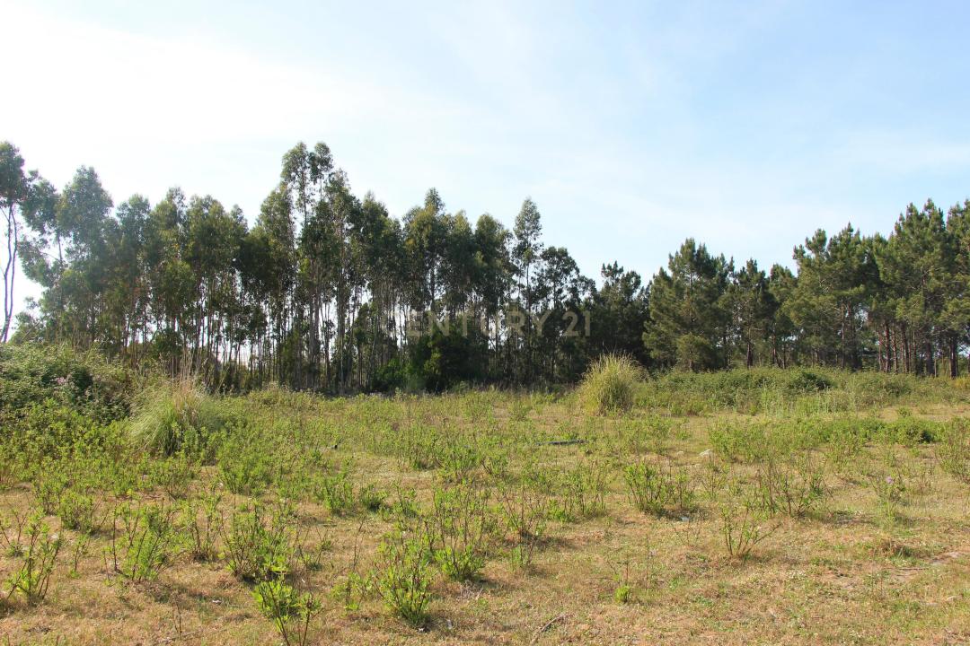 Torres Vedras, 葡京 2560-409, 葡萄牙