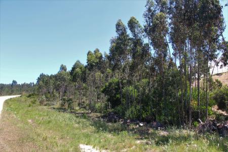 Torres Vedras, 葡京 2560-409, 葡萄牙