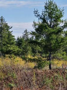 240 Acres Co Rd Aaa, Big Bay, Michigan 49808, USA