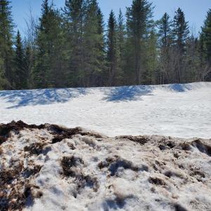 240 Acres Co Rd Aaa, Big Bay, Michigan 49808