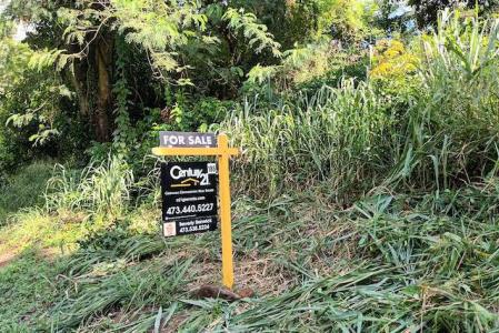 Grand Bacolet Estate Main Road Land, Grand Bacolet, St.Andrew West Indies, Grenada