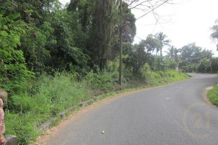 Grand Bacolet Estate Main Road Land, Grand Bacolet, St.Andrew West Indies, Grenada