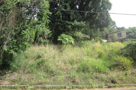 Grand Bacolet Estate Main Road Land, Grand Bacolet, St.Andrew West Indies, Grenada