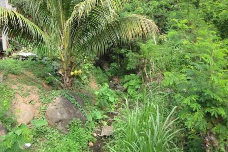 Grand Bacolet Estate Main Road Land, Grand Bacolet, St.Andrew West Indies, Grenada
