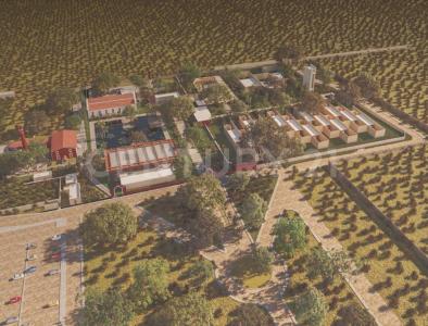 Motul-Telchac Puerto Hacienda San Eduardo,, Dzemul, Yucatán 97404, Mexico