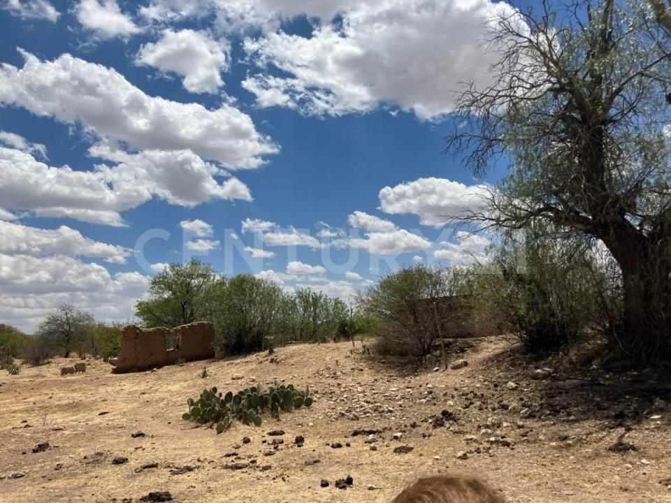Salinas, San Luis Potosi 78600, Mexico