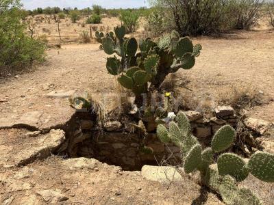 Salinas, San Luis Potosi 78600, Mexico