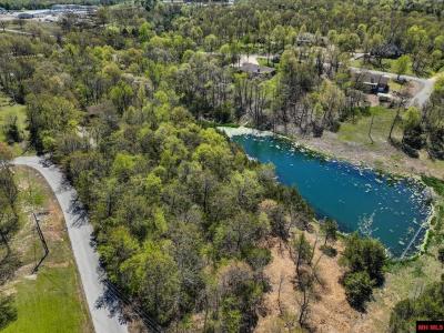 32 WILDWOOD CIRCLE, Mountain Home, Arkansas 72653, HOA KỲ