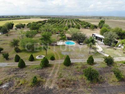 Cadereyta Jiménez, 新莱昂 67498, 墨西哥